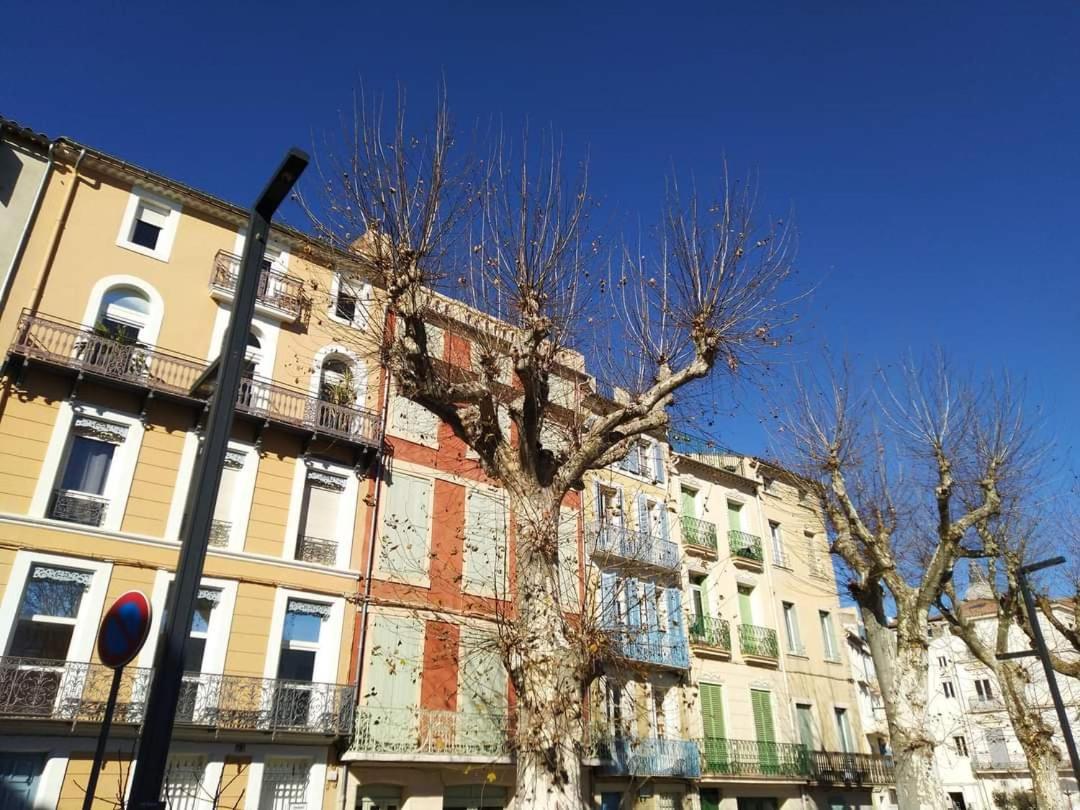 Entre Et Canal, Calme Et - Gare A 700 M Apartment Narbonne